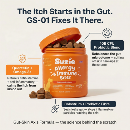 GS-01™ Daily Gut & Skin Chew