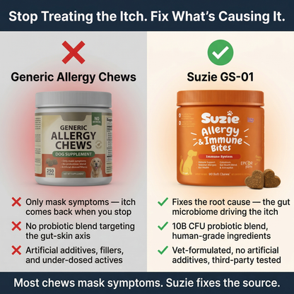 GS-01™ Daily Gut & Skin Chew
